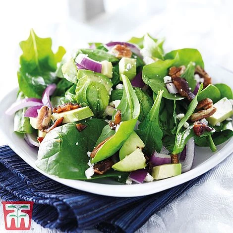 Spinach 'Perpetual' (Spinach Beet) 3 Spinach 'Perpetual' (Spinach Beet)