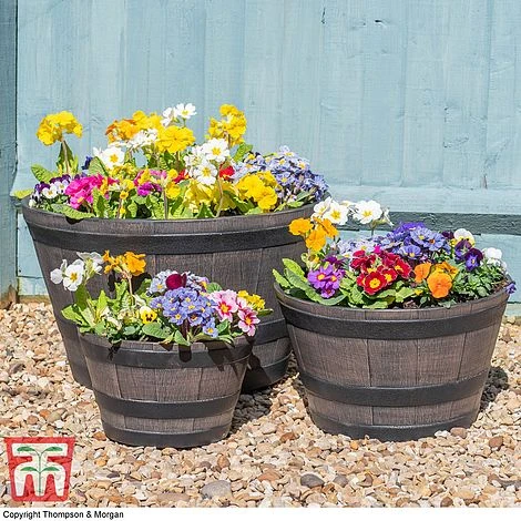 Wooden Barrel Effect Planter – Small 7 Wooden Barrel Effect Planter – Small - Image 5