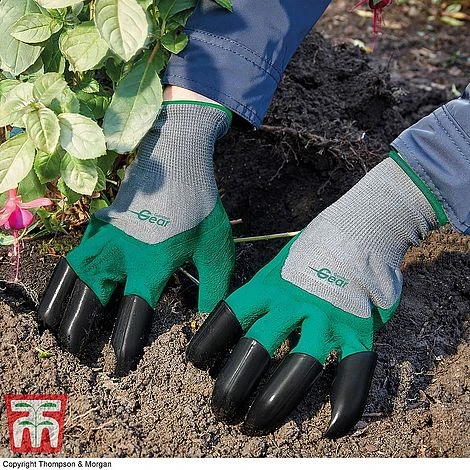 Mini Greenhouse Cloche 10 Mini Greenhouse Cloche - Image 8