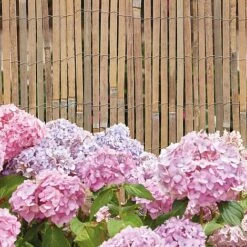 Bamboo Slat Fence 150 X 400CM -PlantHub Shop z d12